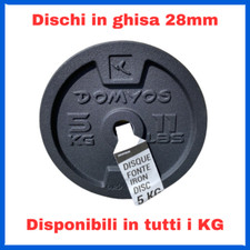 Dischi ghisa 1kg 2kg 5kg 10kg